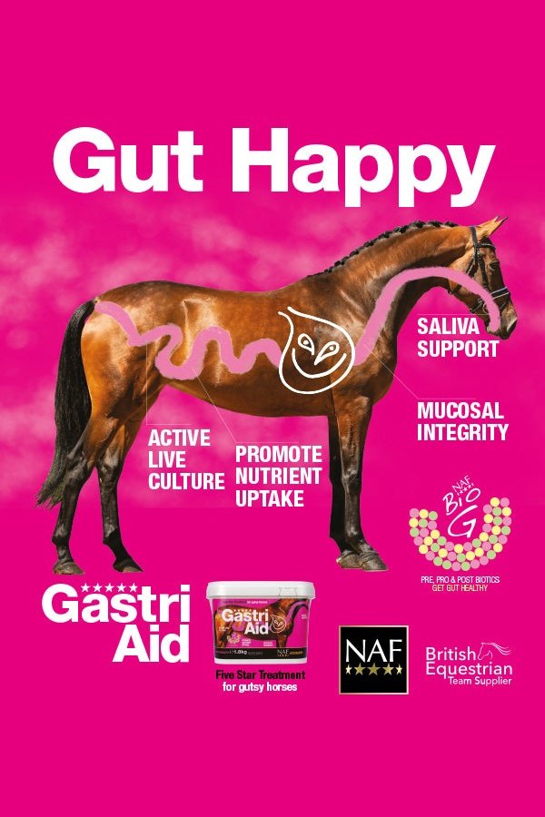 GastriAid