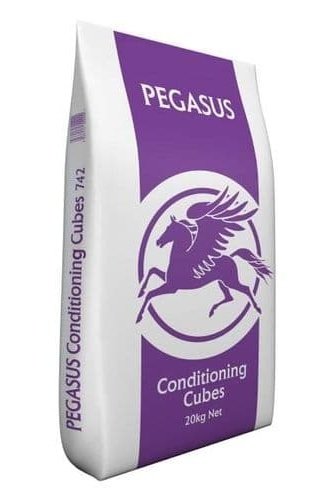 Pegasus Conditioning Cubes