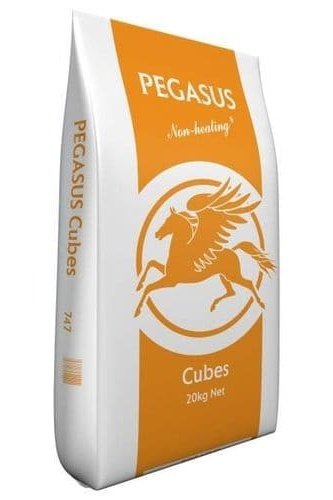 Pegasus Value Horse & Pony Cubes