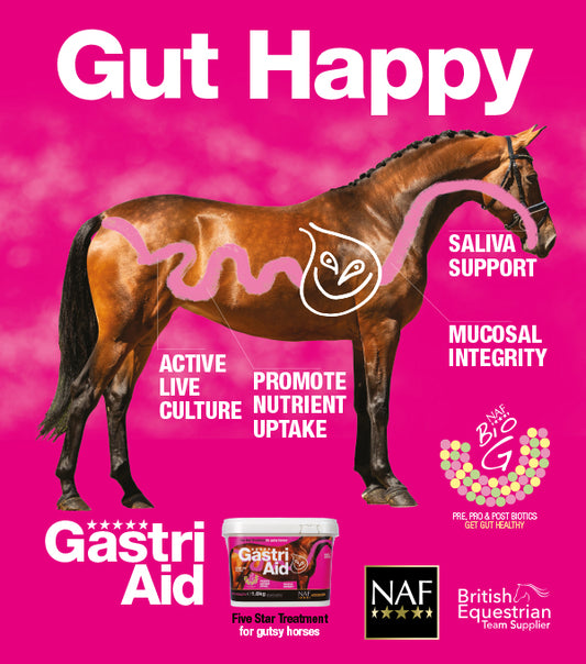 GASTRI AID WINTER GUT HAPPY