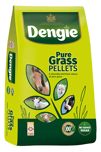 Dengie Grass Pellets