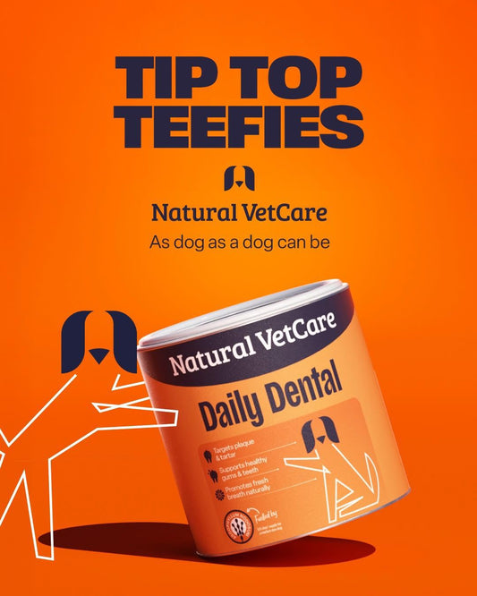 Daily Dental powder