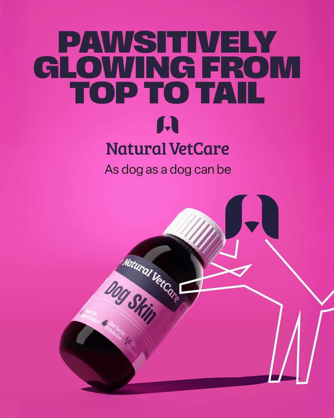 Dog Skin Oil