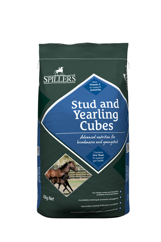 Stud & Yearling Cubes