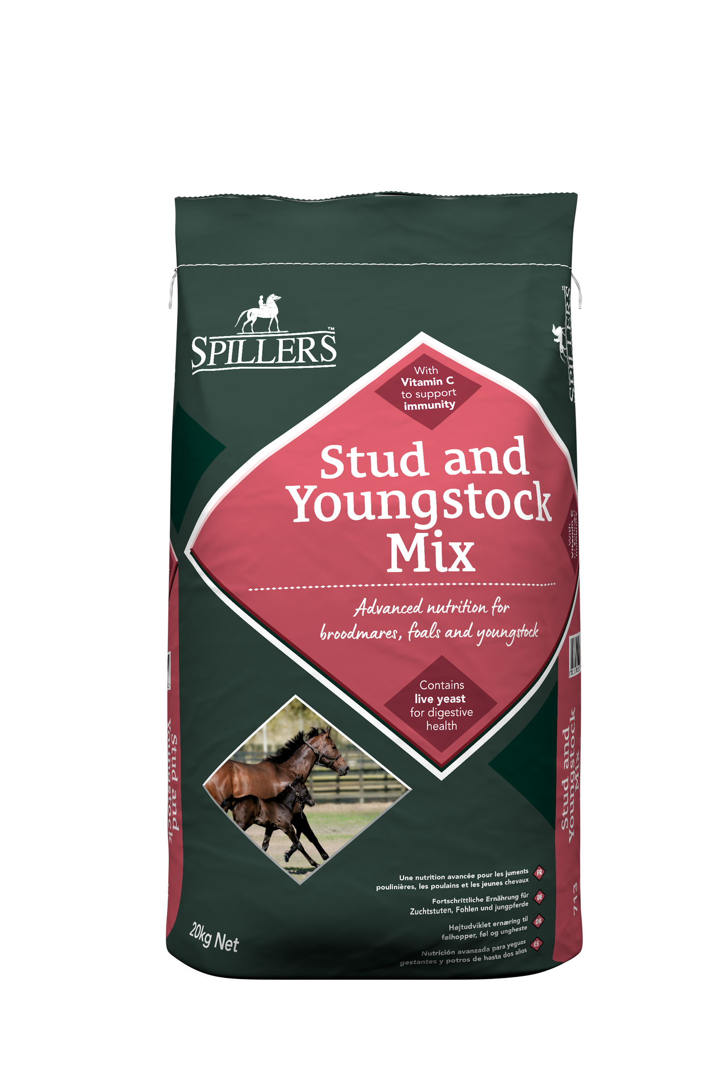 Stud and Youngstock Mix