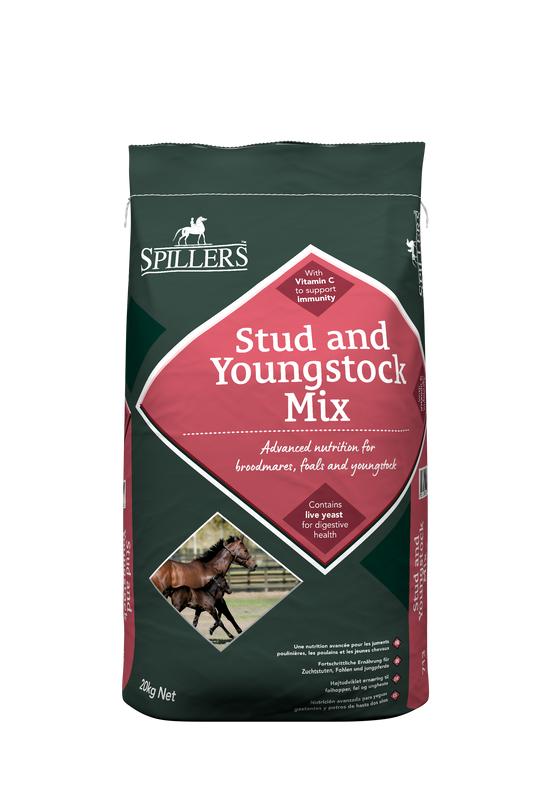 Stud and Youngstock Mix